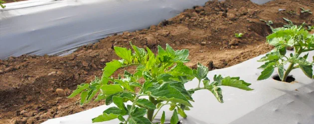 Plásticos Agrícolas
